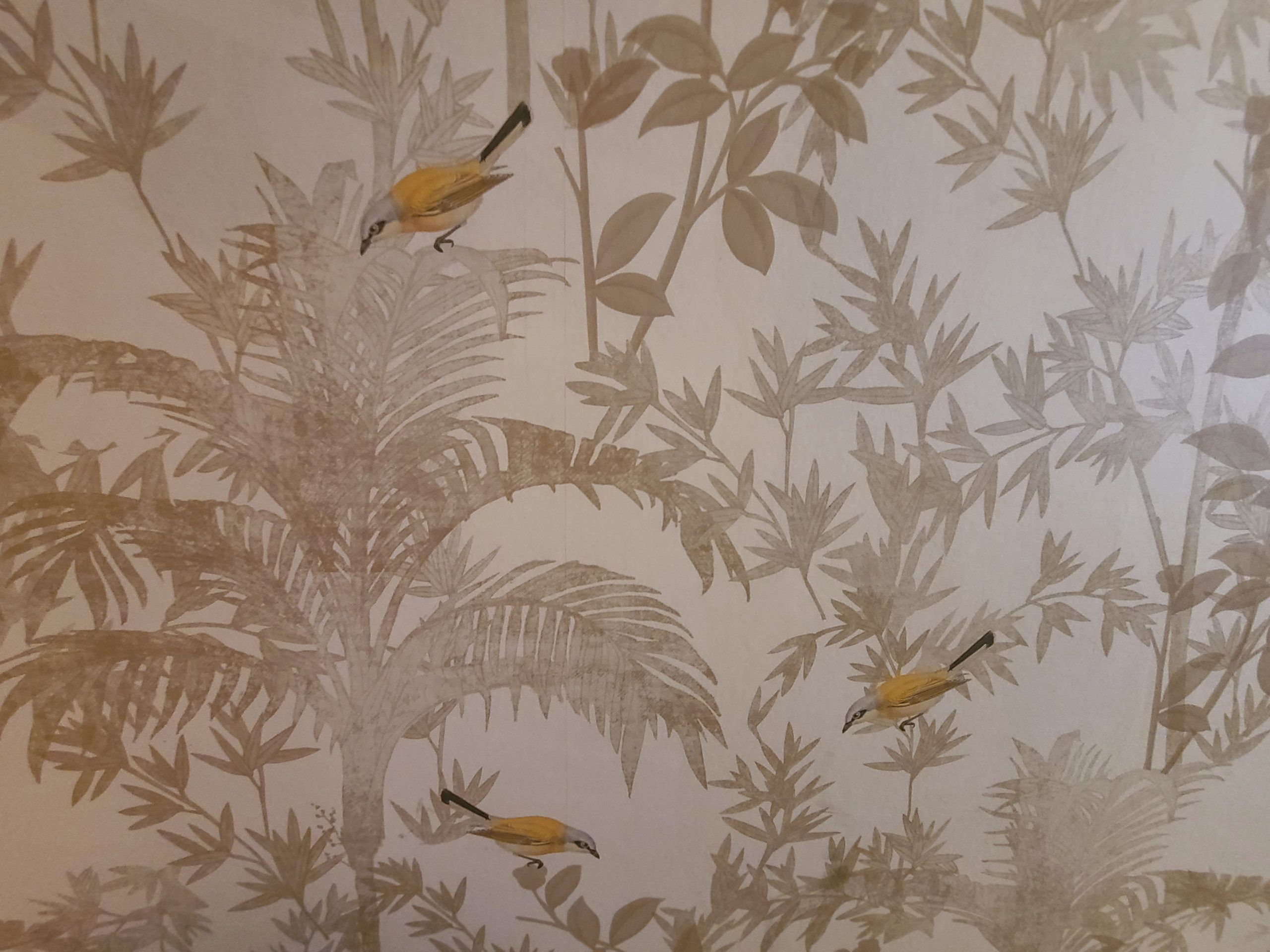 A whimsical wallpaper with a bird motif