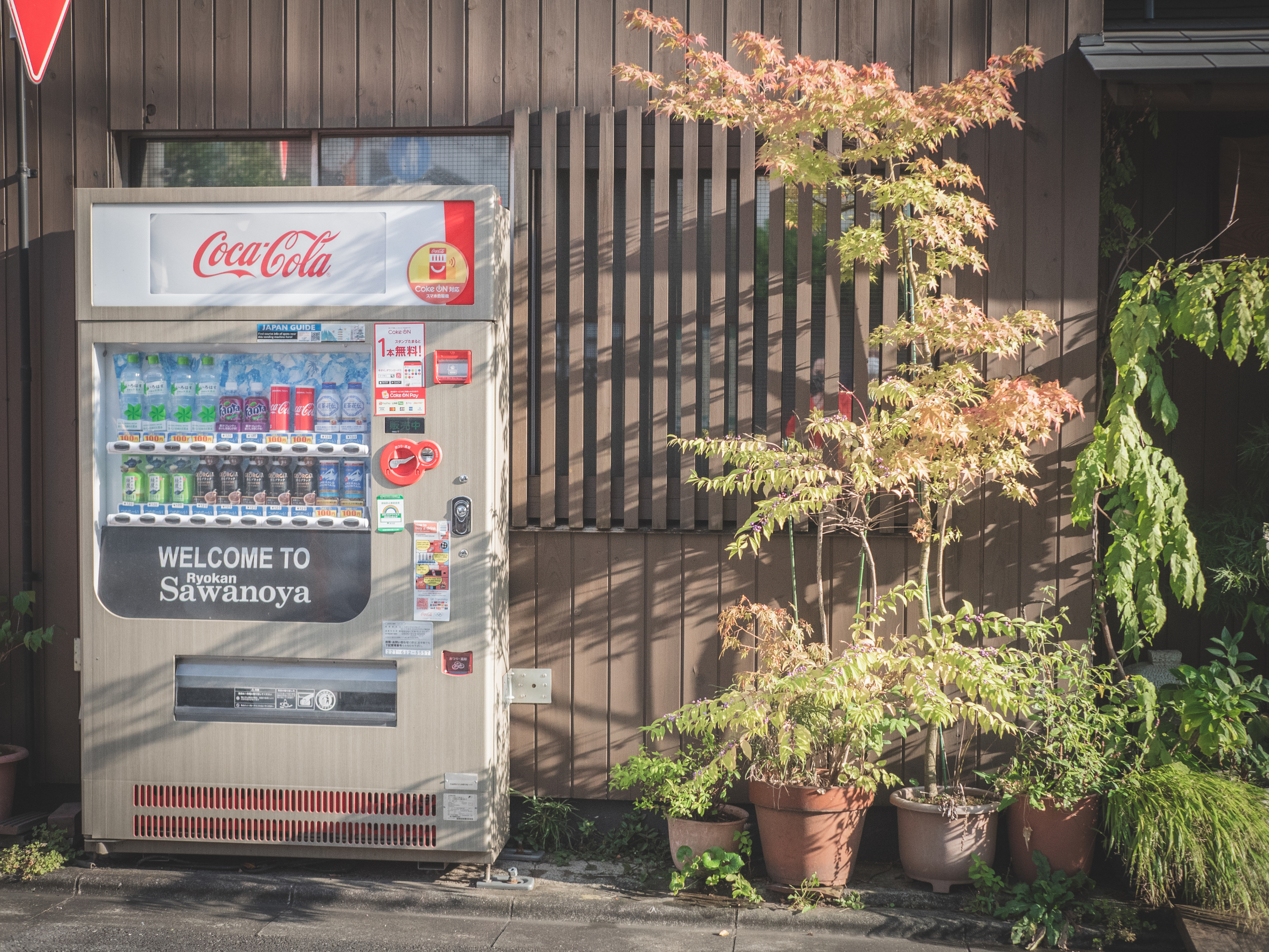 Taking a Break in Yanesen—Traditional Ryokan: Sawanoya