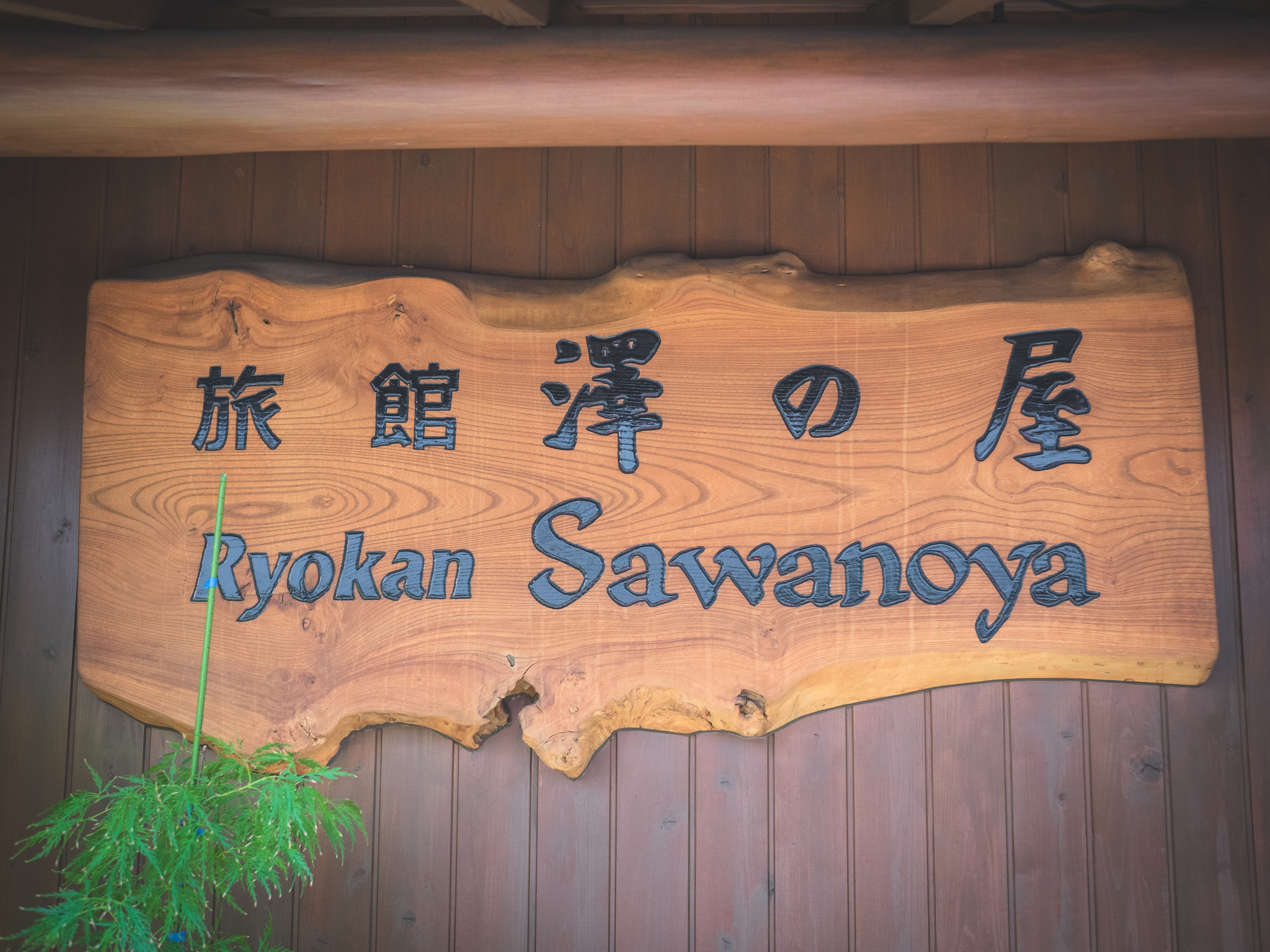 Taking a Break in Yanesen—Traditional Ryokan: Sawanoya