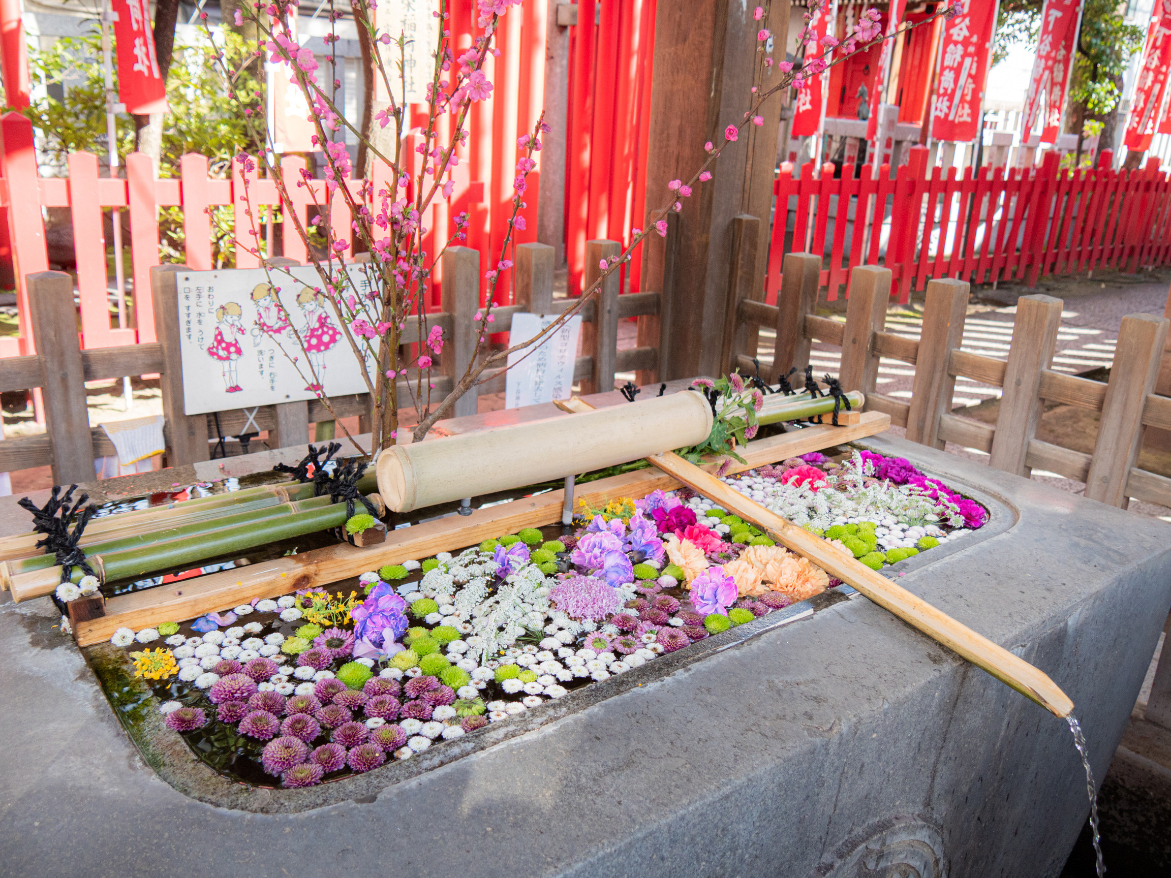 Shitaya Jinja’s hanachōzu