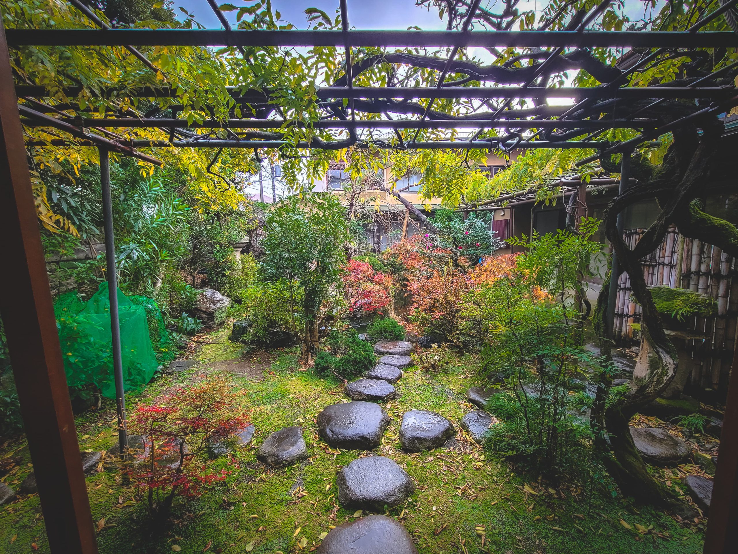 The nakaniwa garden, a sight to behold